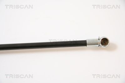 AMORTIZOR PORTBAGAJ TRISCAN 871042221 2