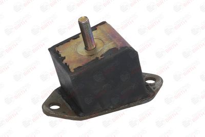 SUPORT MOTOR BIRTH 5224 12
