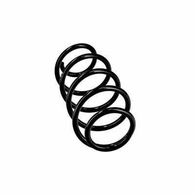 ARC SPIRAL EIBACH R10193 12