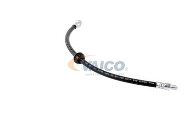 FURTUN FRANA VAICO V204103 34