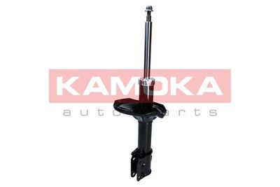 Shock Absorber 2000305