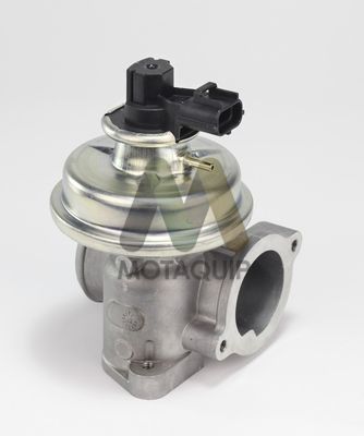 SUPAPA EGR MOTAQUIP LVER349