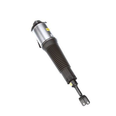 LUFTFEDERBEIN Arnott AS2778 56