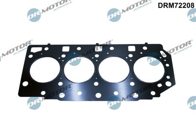 GARNITURA CHIULASA Dr.Motor Automotive DRM72208