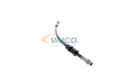 FURTUN FRANA VAICO V221092 35