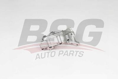 BSG BSG 90-101-009 Масляный насос  для VW POLO (Фольцваген Поло)