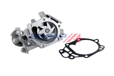 POMPă DE APă RăCIRE MOTOR