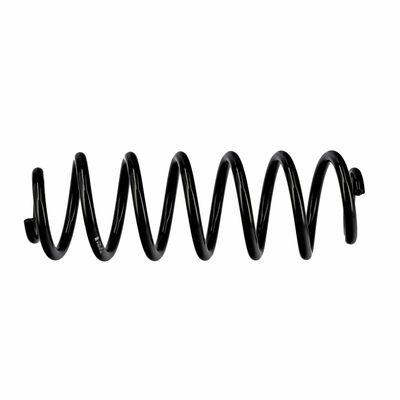 ARC SPIRAL EIBACH R10319 19