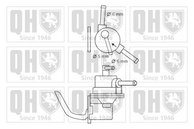POMPA COMBUSTIBIL QUINTON HAZELL QFP273 1