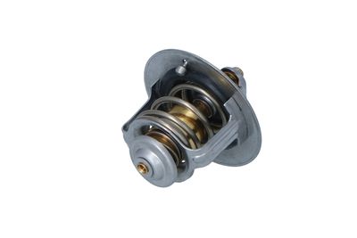 TERMOSTAT LICHID RACIRE NRF 725233 28