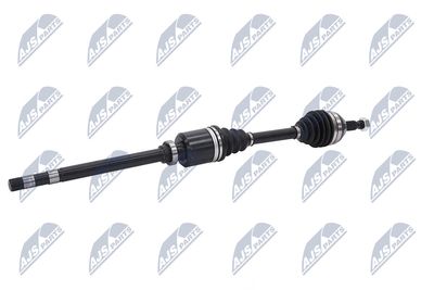 PLANETARA NTY NPWCT026 4