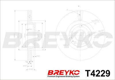 DISC FRANA DAVID VASCO T4229 4