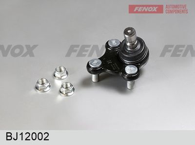 Шарнири FENOX BJ12002