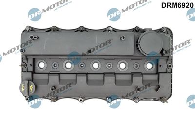 CAPAC CULBUTOR Dr.Motor Automotive DRM6920