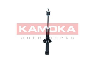 Shock Absorber 2001159