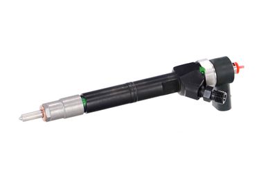 INJECTOR REMANTE 002003001108R 7