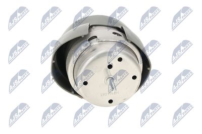 SUPORT MOTOR NTY ZPSAU041 19