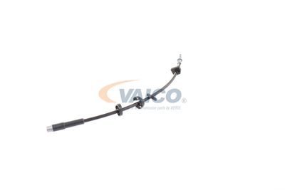 FURTUN FRANA VAICO V420169 21