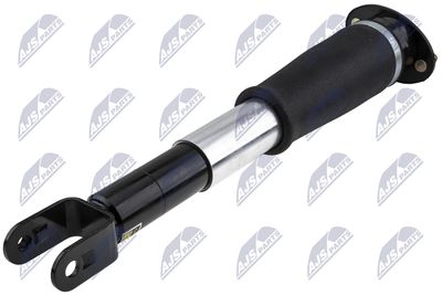 AMORTIZOR NTY ACH006 1