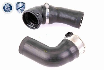 FURTUN EAR SUPRAALIMENTARE VAICO V201617 7