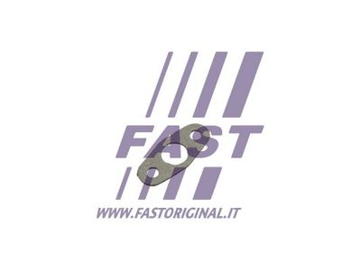 FAST FT48801 Прокладка турбіни 