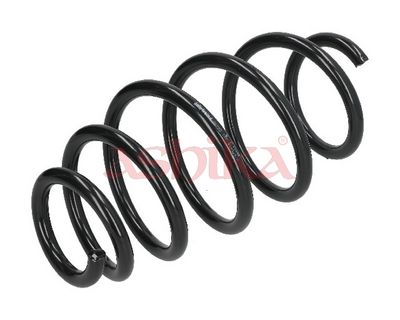ASHIKA Пружина ходовой части