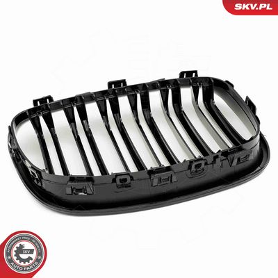 GRILA RADIATOR ESEN SKV 66SKV016 5