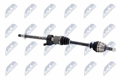 PLANETARA NTY NPWBM021 10