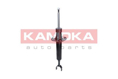 Shock Absorber 2000713