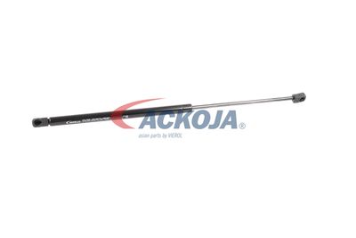 AMORTIZOR PORTBAGAJ ACKOJA A320132 59