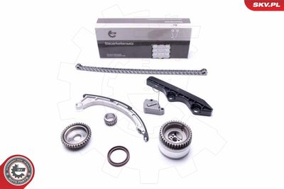 Timing Chain Kit 21SKV206