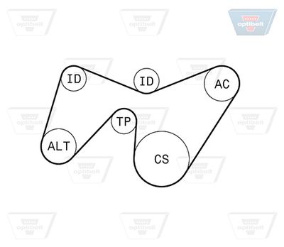 KEILRIPPENRIEMENSATZ OPTIBELT 6PK1642KT1 1