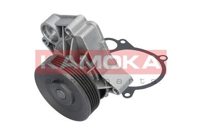 Water Pump, engine cooling T0061