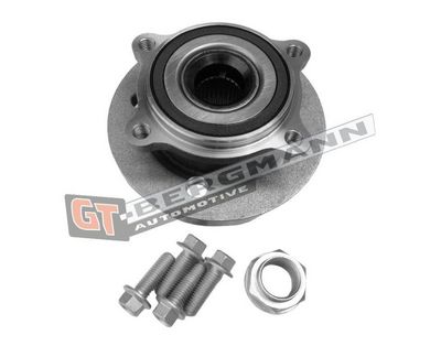 GT-BERGMANN Automotive Rato guolio komplektas