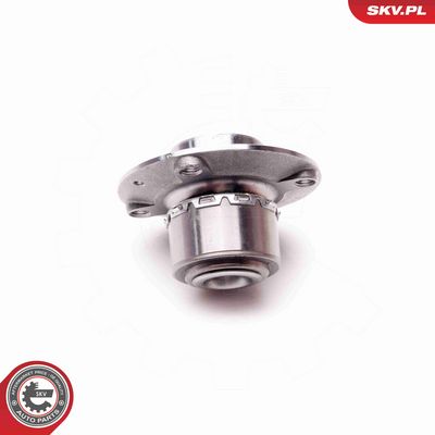 SET RULMENT ROATA ESEN SKV 29SKV116 2