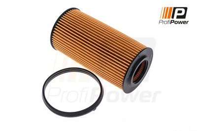 alyvos filtras 1F0120 ProfiPower