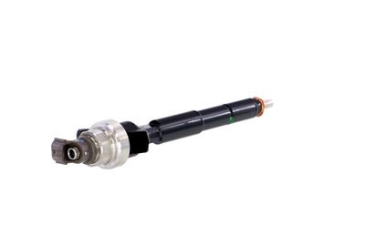 INJECTOR REMANTE 002003000192R 34