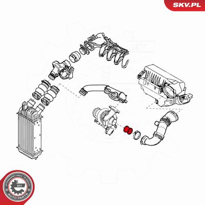 PALNIE FILTRU DE AER ESEN SKV 24SKV498 3