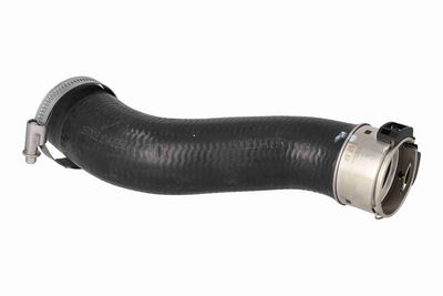 FURTUN EAR SUPRAALIMENTARE ACKOJA A520871 3