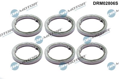 tarpiklių rinkinys, išleidimo kolektorius DRM02806S Dr.Motor Automotive