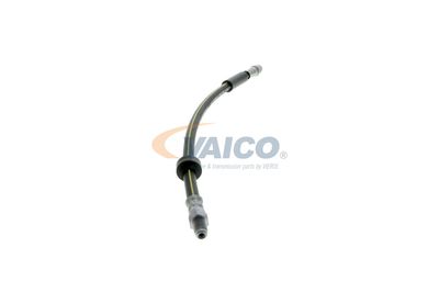 FURTUN FRANA VAICO V461009 48