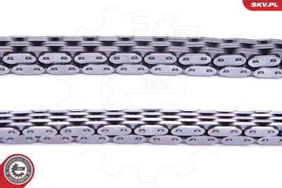 Timing Chain Kit 21SKV231