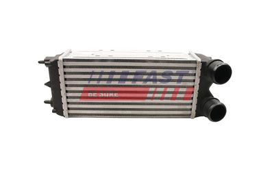INTERCOOLER COMPRESOR FAST FT55597 1