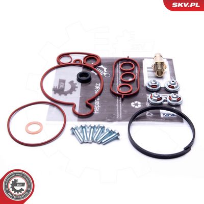 Reparatursatz, Unterdruckpumpe (Bremsanlage)