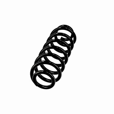 ARC SPIRAL EIBACH R10862 14