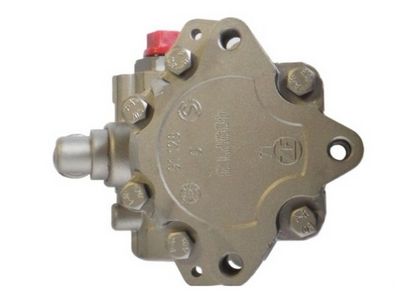 HYDRAULIKPUMPE LENKUNG SPIDAN 54359 1