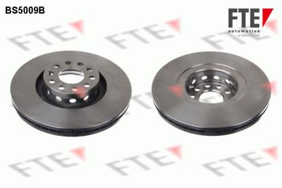 Brzdový kotouč FTE 9081246