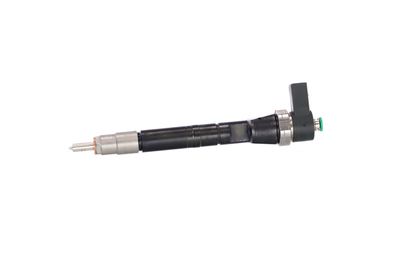 INJECTOR REMANTE 002003002295R 12
