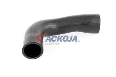 FURTUN EAR SUPRAALIMENTARE ACKOJA A389600 54