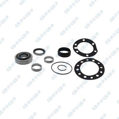 SET RULMENT ROATA GSP GKX0032